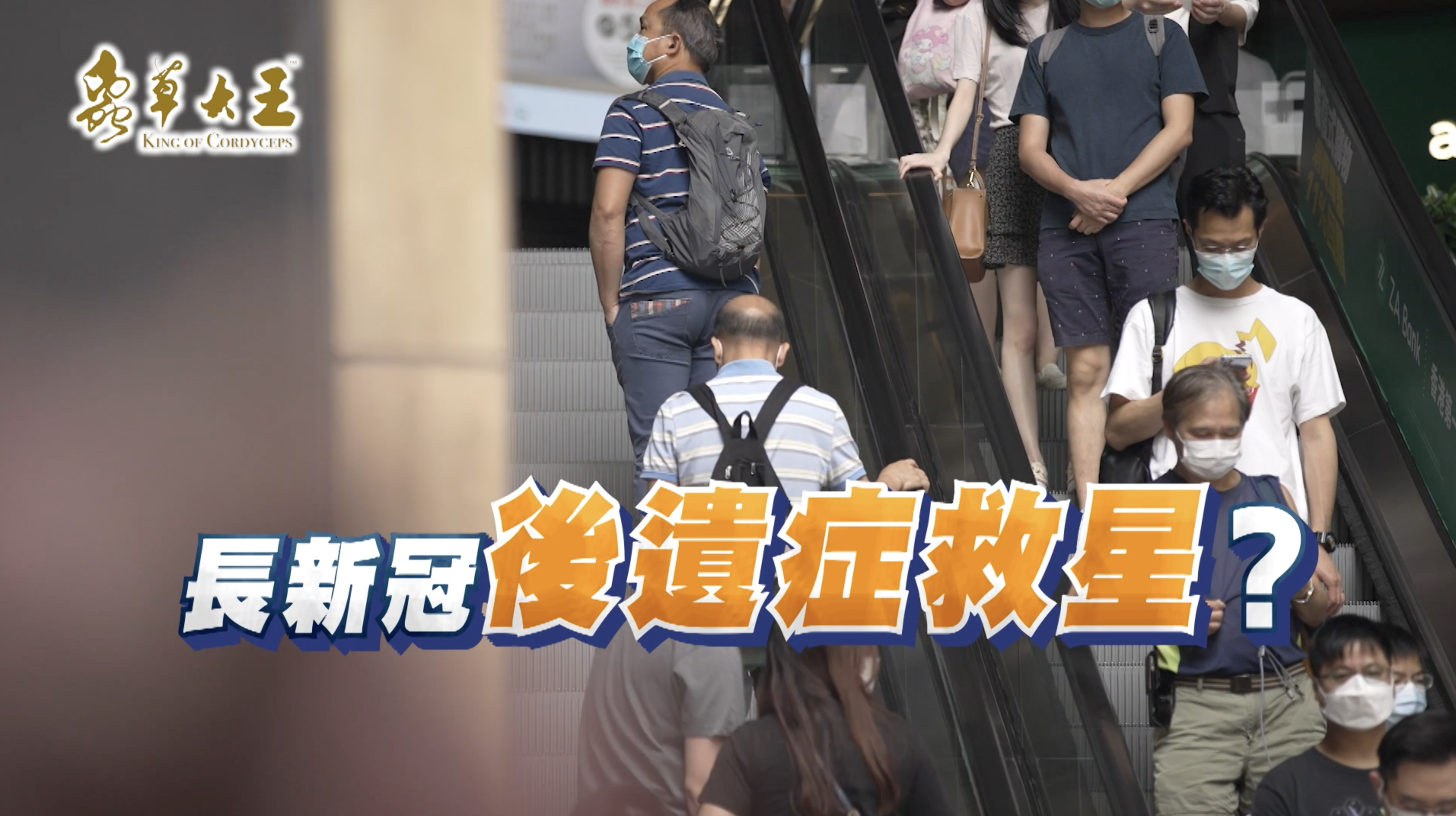 蟲草19廣告雜誌